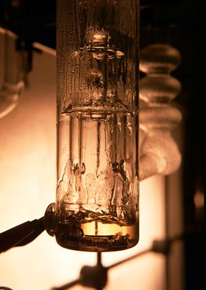 料理の魅力を引き出す！調味料の選び方と活用術を徹底解説